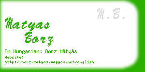 matyas borz business card